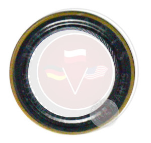 TR60SN 09D USZCZELNIACZ POMPY