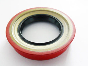 TH200 / TH350/ POWERGLIDE/ AOD/ AODE/ FMX/ 4L60E USZCZELNIACZ REAR
