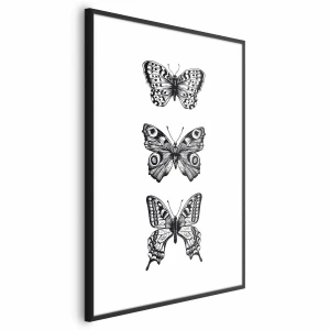 Plakat Trzy motyle 60x90 cm z ramą czarną bez marginesu ARTGEIST B