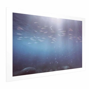 Plakat Rybki w głębinach 60x40 cm bez ramy z marginesem ARTGEIST B