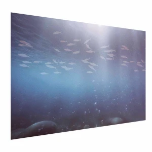 Plakat Rybki w głębinach 42x29,7 cm bez ramy bez marginesu ARTGEIST B