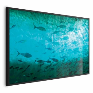 Plakat Gromada ryb 42x29,7 cm z ramą czarną bez marginesu ARTGEIST B
