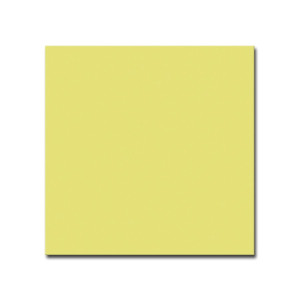 Croma Clover 20,0x20,0/Płytka Gresowa/GAT 1