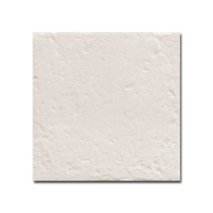 Canem Terra White Season 20,0x20,0/Płytka Gresowa