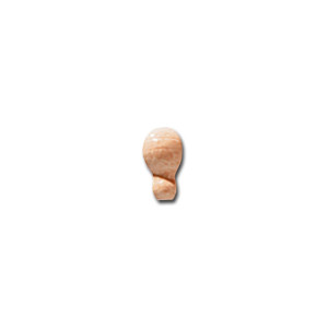 El_Barco Patine Angulo Moldura Turquesa Glossy 2,0x4,0/Dekoracja Listewka/GAT 1