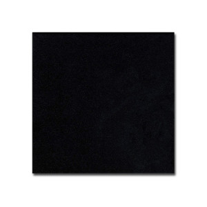 El_Barco Plaka Black Mate 20,0x20,0/Płytka Gresowa/GAT 1