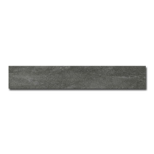 Board Inkwell 10,0x60,4/Płytka Gresowa/GAT 1