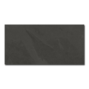 Brazilian Slate Rail Black 60,0x120,0/Płytka Gresowa/GAT 1