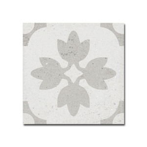 Coachella Emile 20,0x20,0/Płytka Gresowa/GAT 1