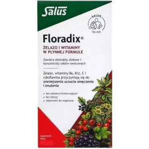 Floradix, żelazo i witaminy, płyn, 250 ml