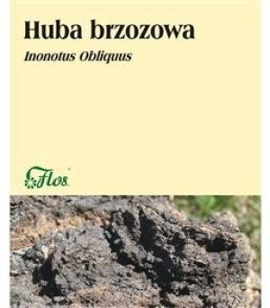Huba brzozowa 50g