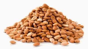 Pestki moreli gorzkiej  -  1 kg