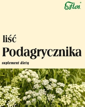 Flos Liść Podagrycznika 50g