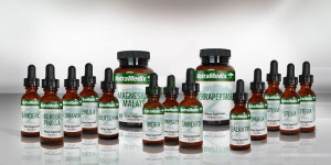 NutraMedix Protokół ziołowy COWDENA -  zestaw na 5 miesiąc