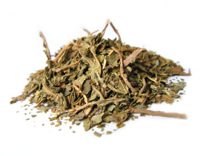 Liście papai 100g
