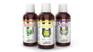 B&M PODSTAWOWY PROTOKÓŁ BUHNERA