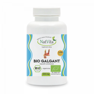 Galgant BIO kapsułki 250 mg 100 kap