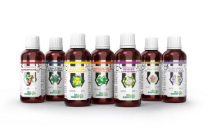 B&M ROZSZERZONY PROTOKÓŁ BUHNERA LIPOSOMY