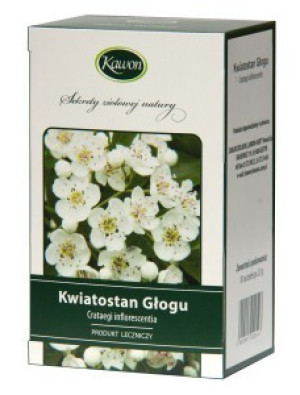 Głóg kwiatostan Fix 30sztx2g. Kawon