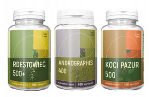 Zestaw z andrographis wg Buhnera