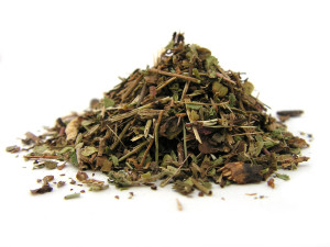 Andrographis Paniculata (ziele cięte) 50g.