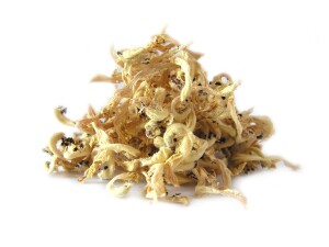 Jasnota Biała KWIAT  25G