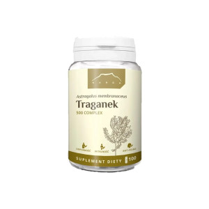 Traganek 500 Complex 100 kapsułek  (Astragalus)