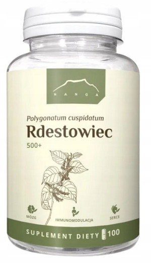 Rdestowiec 500+ 100 kaps. (rdest japoński)
