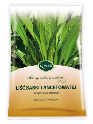 Babka lancetowata liść 50g