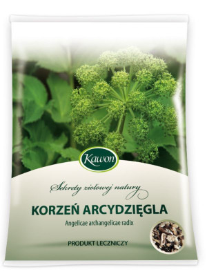 Arcydzięgiel korzeń 50g