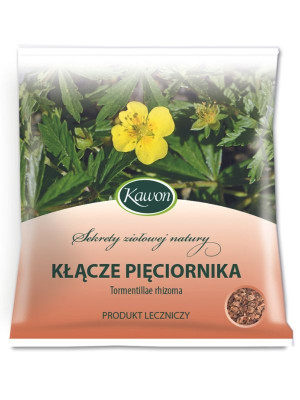 Pięciornik kłącze 50g