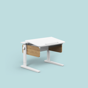 moll Champion (Modellvariante: Champion Compact, Schublade: mit Schublade, Farbe: Wildeiche)