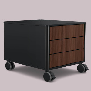 C6 (Schubladendekor: Nussbaum, Aluprofil Farbe: Schwarz, Dekor: Schwarz)