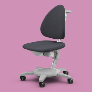 moll Maximo (Gestellfarbe: Grau, Stofffarben: Trend - Anthracite)