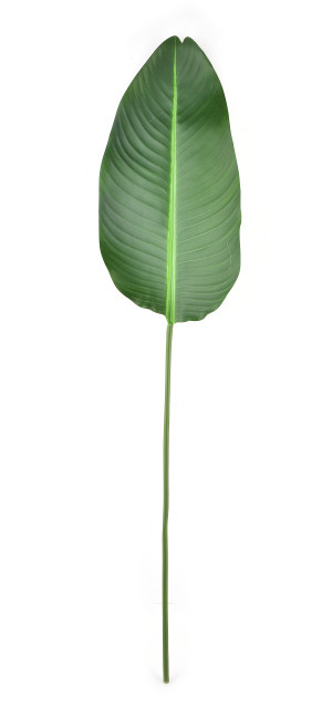 VIRIDIS Sztuczny kwiat 100x2,5cm Liść