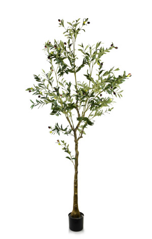 OLIVES Kwiat sztuczny 180cm