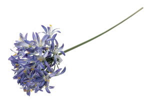 Kwiat sztuczny AGAPANT pojedynczy 80cm