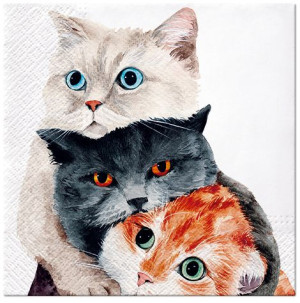 Serwetki 33x33 Better Together 20szt