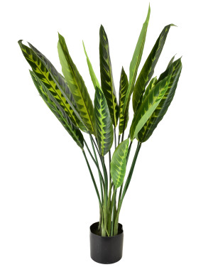 VIRIDIS Sztuczny kwiat kalatea 15x14x109cm w doniczce