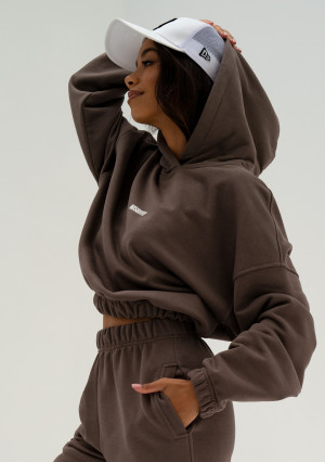 Icon - Bluza z kapturem i ściągaczem Savannah Tan