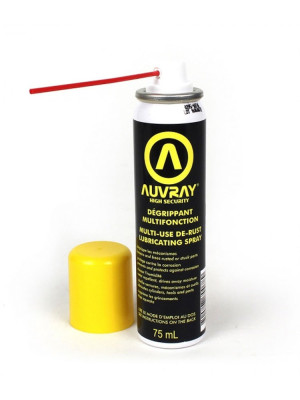 Wielofunkcyjny odrdzewiacz w sprayu Auvray [75 ml]