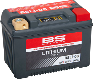 Lithium LiFePO4 Batterie BSLI-08 148x86x105mm
