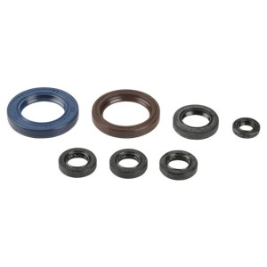 Motor Simmerring Satz KTM SX EXC 520, 525