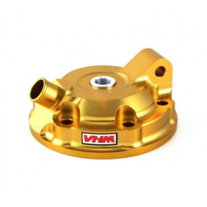 VHM Zylinderkopf Beta RR 300 2013-2024