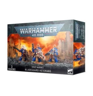 Warhammer 40000: Space Marines - Bladeguard Veterans