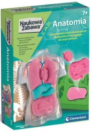 Naukowa Zabawa. Anatomia - Clementoni