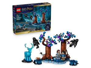 LEGO HARRY POTTER 76475 Zakazany Las