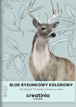 Blok rysunkowy A3/10 k 80 g Creatinio