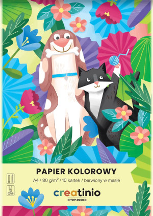 Papier kolorowy A4/10 k 80 g Creatinio