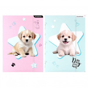 Teczka z gumką papierowa A4 Doggy - Starpak